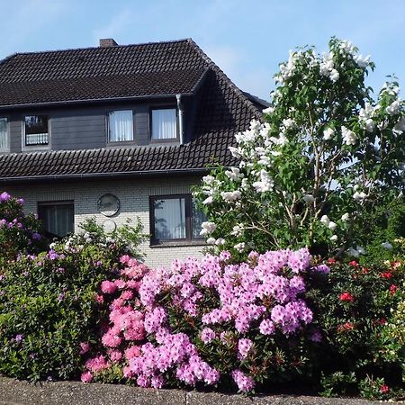 Haus Wiesel Bispingen Eksteriør bilde